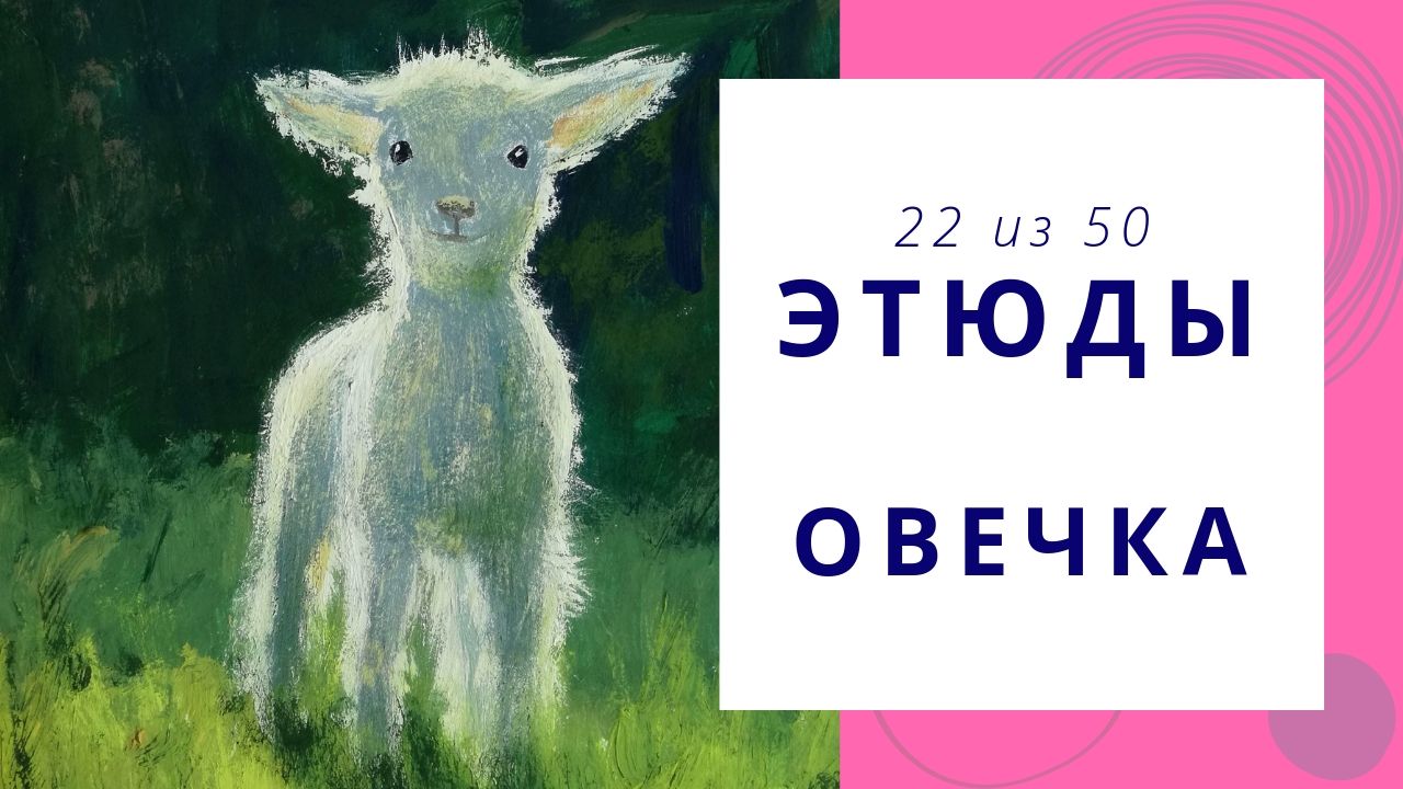 22. Процесс рисования овечки гуашью. Серия видео «50 этюдов»