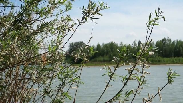 Обзор "Sony Alpha 7 + EF 3,5-5,6/28-70". Самый дешёвый полный кадр. смотреть онлайн