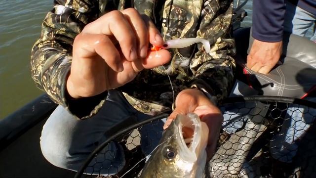 Fishing Tip - Berkley PowerBait Ripple Shads S11E04 смотреть онлайн