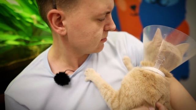 Хиллс и благотворительный фонд помощи животным «Подбери друга» меняют жизнь к лучшему. Серия 1 смотреть онлайн