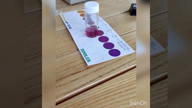 Меняю PH воды в пруду.. известкование пруда
