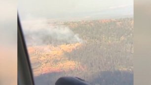 В Иркутской области за сутки зафиксировано семь лесных пожаров