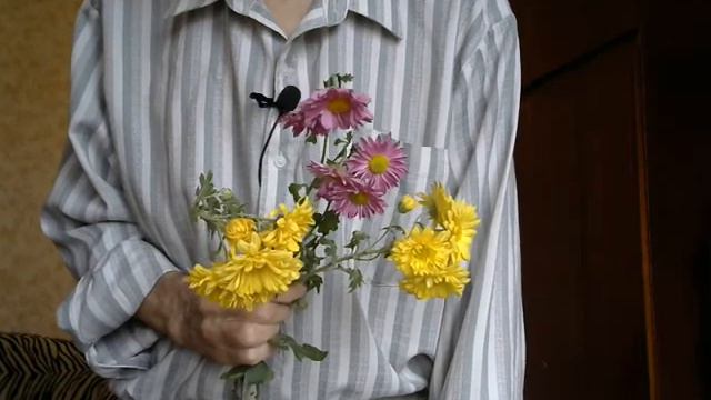 «У нас... /Знаешь ли, Каунас.../» смотреть онлайн