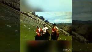 Нуров Варис.