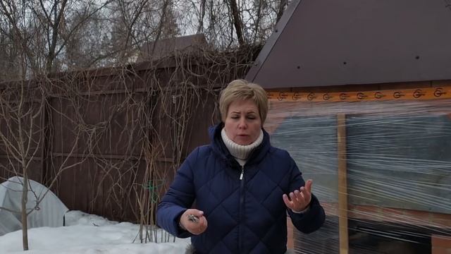 СЕЗОН 2020: ОСНОВНЫЕ ПРАВИЛА ОБРЕЗКИ КОСТОЧКОВЫХ ДЕРЕВЬЕВ / Садовый гид