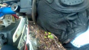 Покатушка на питбайке по лесу. Часть 2