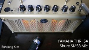 THR 5A Yamaha Acoustic Amp Sound Review 5