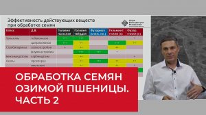 Озимая пшеница: делать ли анализ семян и чем обрабатывать? Часть 2  | Агроном | Сергий Ризанов