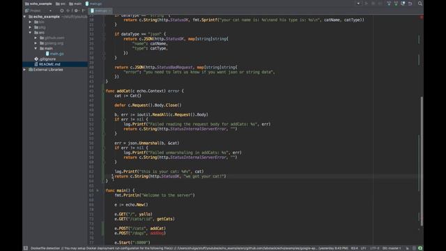 Creating Golang WebServer With Echo - Part 3：Parsing JSON From Request