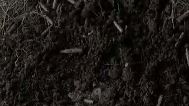 Роман Велич -Штрафники... смотреть онлайн