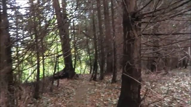 ищем маленькие растения досаживаем на участке смотреть онлайн