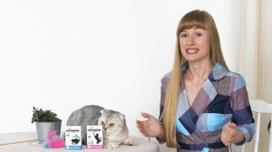 Гестренол капли для кошек и котов. Инструкция по применению