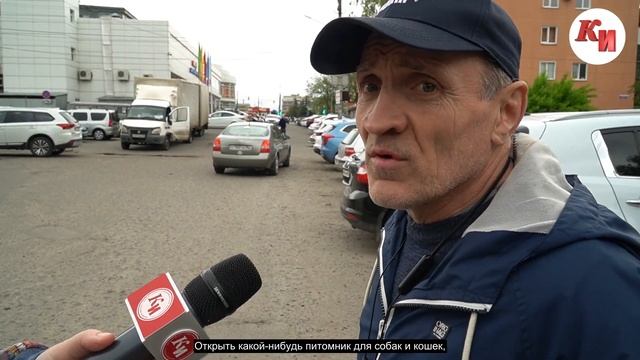 Что делать с бродячими собаками? смотреть онлайн