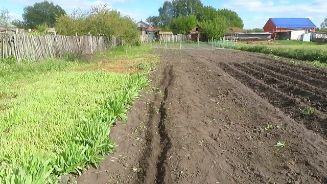 #69 Огородные дела.Как я посадил тыкву. смотреть онлайн