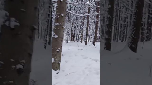 в парке Долина Водопадов (3 часть)