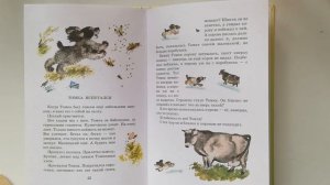 Читаем детям. Е. Чарушин "Томка испугался" Путилковская сельская библиотека