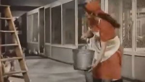 Отрывок из Фильма Стрекоза (грузия)