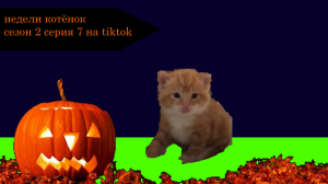 Недели котёнок сезон 2 серия 7 на tiktok