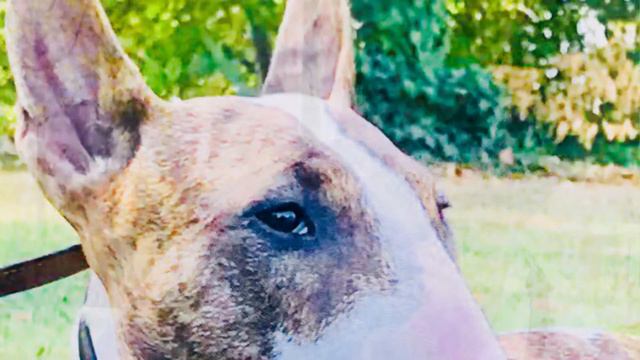 7 февраля 2021 г. смотреть онлайн