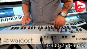 Синтезатор WALDORF BLOFELD KEYBOARD