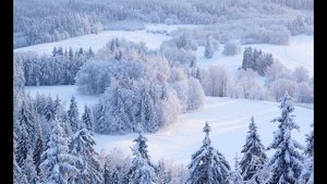 Среди зимы никто нам лето не вернёт.