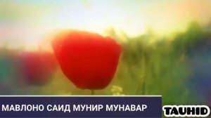 МАВЛОНО САИД МУНИР МУНАВАР! ЭЙ МУСАЛМОН БАРГАРД БА СӮЙИ АЛЛОҲИ МЕҲРУБОН!!!