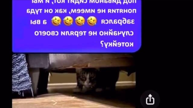 Семья купила диван и привезла домой, но через день собака начала громко на него лаять и вот почему смотреть онлайн