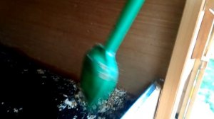 Не убирала неделю у кроликов!!! Содержание кроликов на подстиле.