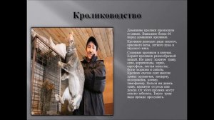 животноводство в нашем крае презентация 4 класс