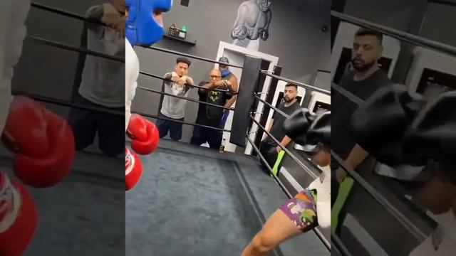 Джервонта Дэвис vs Иван Редкач SPARRING Gervonta 'Tank' Davis vs Ivan Redkach