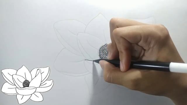 How to Draw Magnolia Flower смотреть онлайн