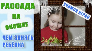 Рассада, посев, пикировка вместе с ребёнком - ЛЕГКО. Помощь бабушке и маме. Чем занять ребёнка.