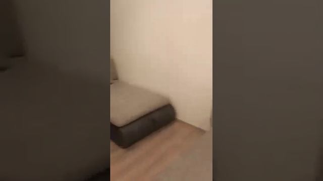 Сдается 1к.кв. по адресу: ул Оптиков, д 34, корп 2 смотреть онлайн