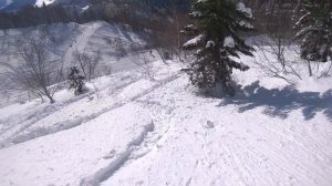 Красная поляна, январь 2019