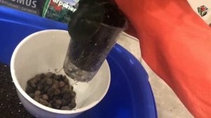 КРОТОН / КОДИЕУМ, какой СУБСТРАТ выбрать для пестролистного красавца. Посадка или перевалка.