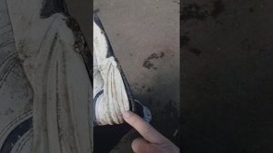 кроссовки NIKE AIR MONARH - 3 неубивамые?! так ли это по факту?