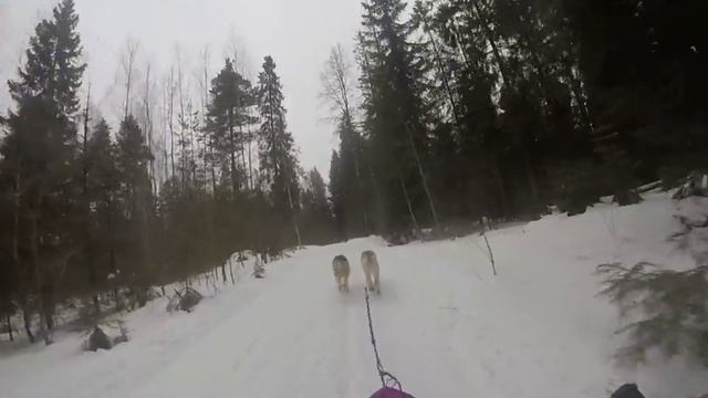 "Снежная Метель - 2017" 2-й день смотреть онлайн