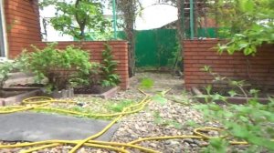 Кизил цветет в Перми 2019 год