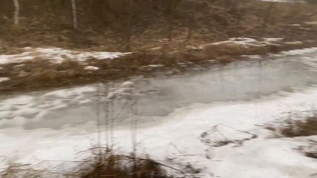 Показываю, на что способен мой новый металлоискатель. Часть 1.