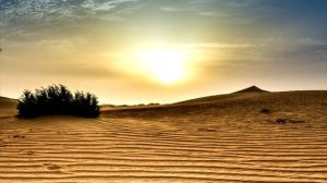 Agios o Theos. Египетский и Византийский напевы,  хор греческий. Andre Serba