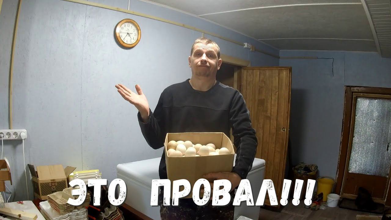 Самая НЕУДАЧНАЯ индюшиная весна и "грязные" деревенские будни! смотреть онлайн