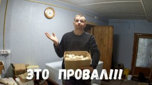 Самая НЕУДАЧНАЯ индюшиная весна и "грязные" деревенские будни!