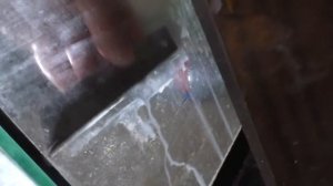 Запуск аквариума 100 литров.