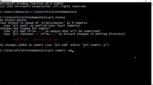 Git Fundamentals - Chapter 14 - How to push changes to remote repository?