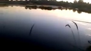 Рыбалка на карьерах, за Дмитровом, пруд. МО.