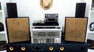 SONY CDX-GT200s & PIONEER TS-E6990 speakers
