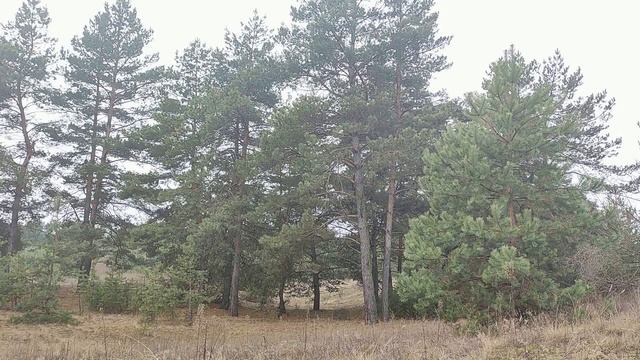 Женщины с этими именами обладают очень мощной энергетикой. Могут достичь больших успехов в жизни... смотреть онлайн