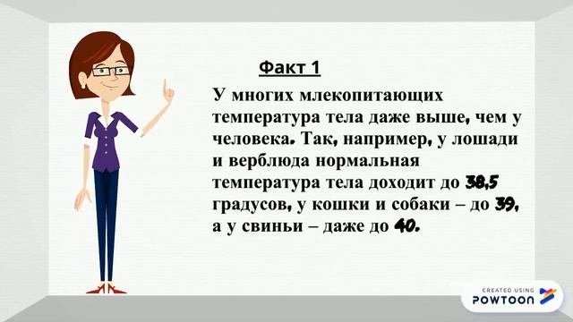 Факты о млекопитающих