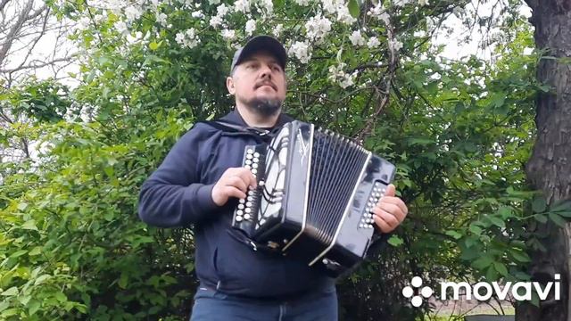 #С_Днём_Победы#гармонь#