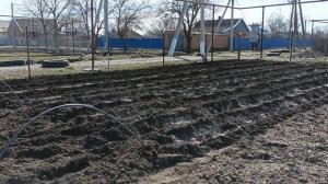 мотоблок Агат салют посадка картошки закрытие рядов